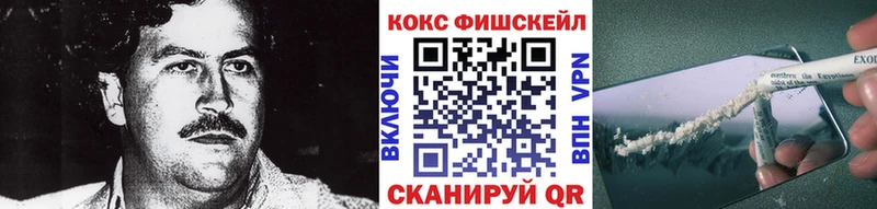 Купить  Углегорск  КОКАИН Fish Scale 