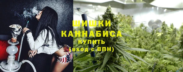 гидропоника Каменка