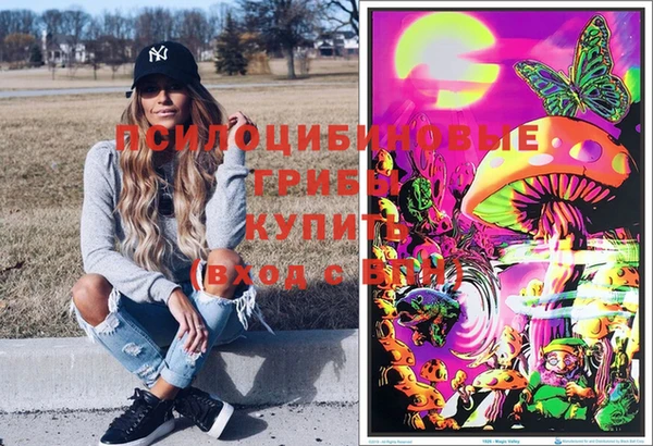 не бодяженный Каменногорск