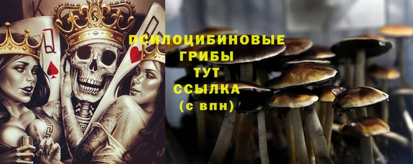 гидропоника Каменка