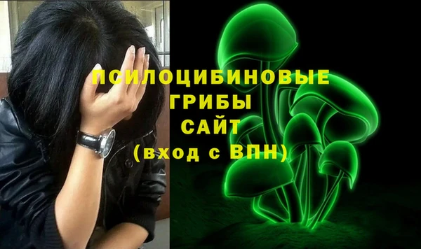 гидропоника Каменка
