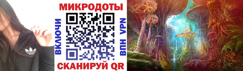 Купить закладки  Углегорск  Галлюциногенные грибы Cubensis 